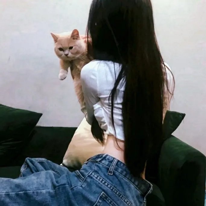 元龙第三季